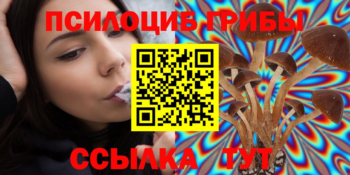Мичуринск  Галлюциногенные грибы Psilocybe  купить наркоту  Вход с VPN 